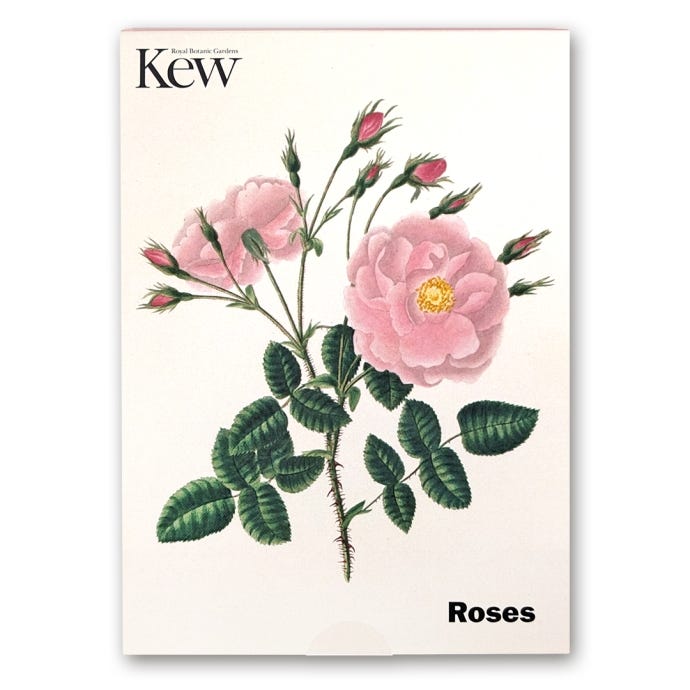 Rose Greeting Cards Set of 8