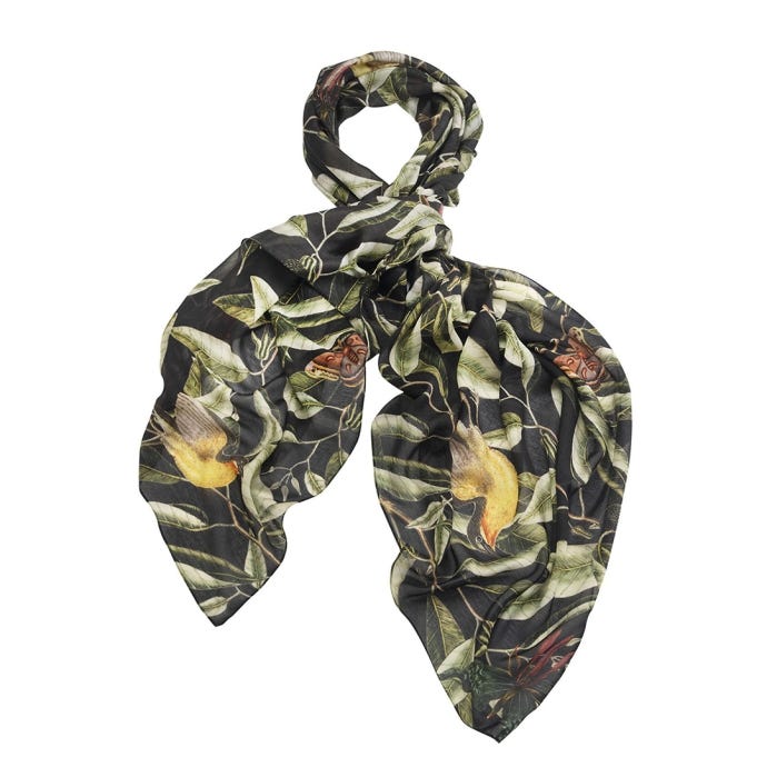 Kew Evergreen Scarf, Black from One Hundred Stars