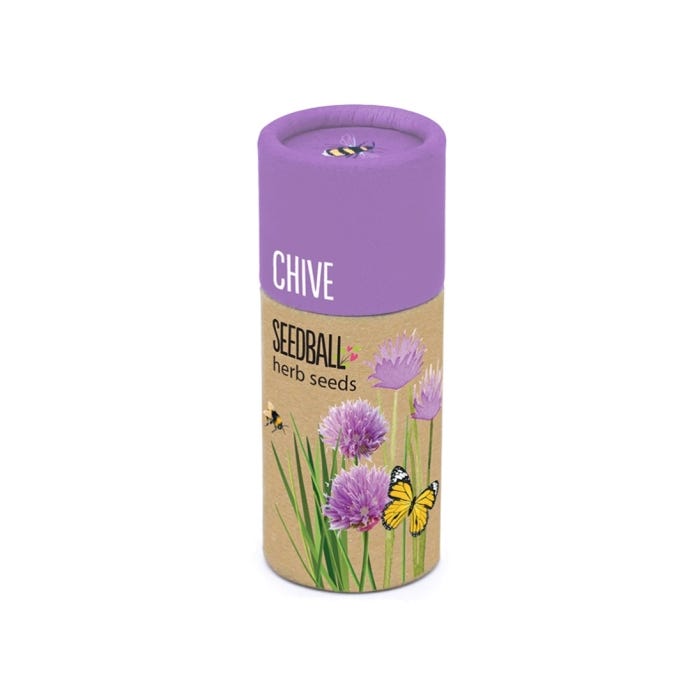 Kew Herb Seedball Tube, Chive
