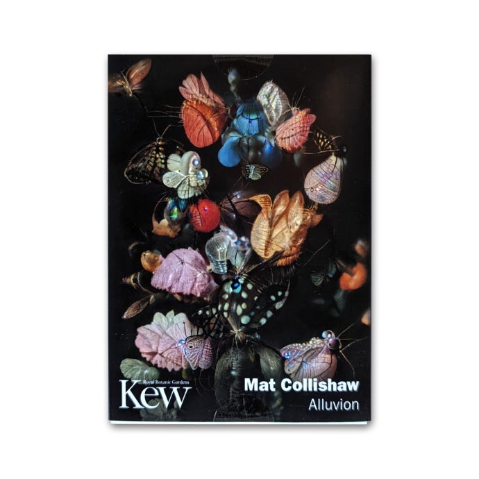Mat Collishaw Set of 8 Postcards, Alluvion