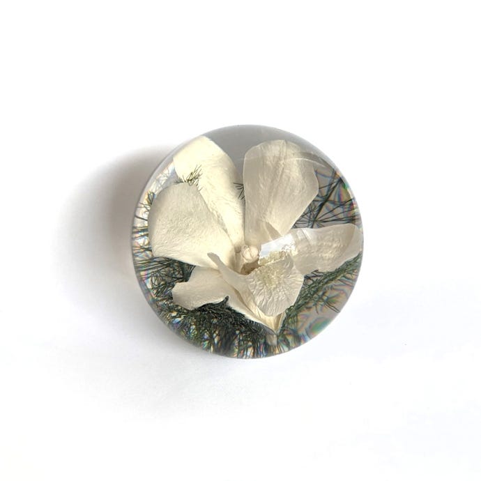 Small White Orchid Paperweight