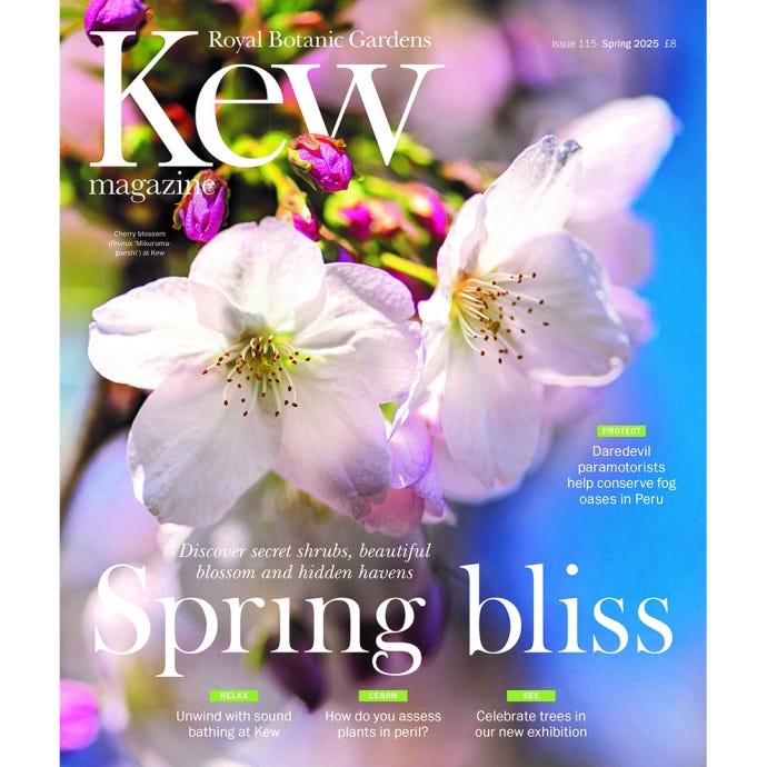 Spring 2025 cover. Spring Bliss.