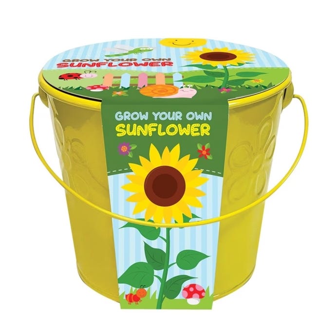 Kids Grow Your Own Sunflowers in a Bucket from Taylors Bulbs