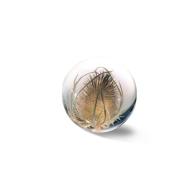 Teasel Paperweight
