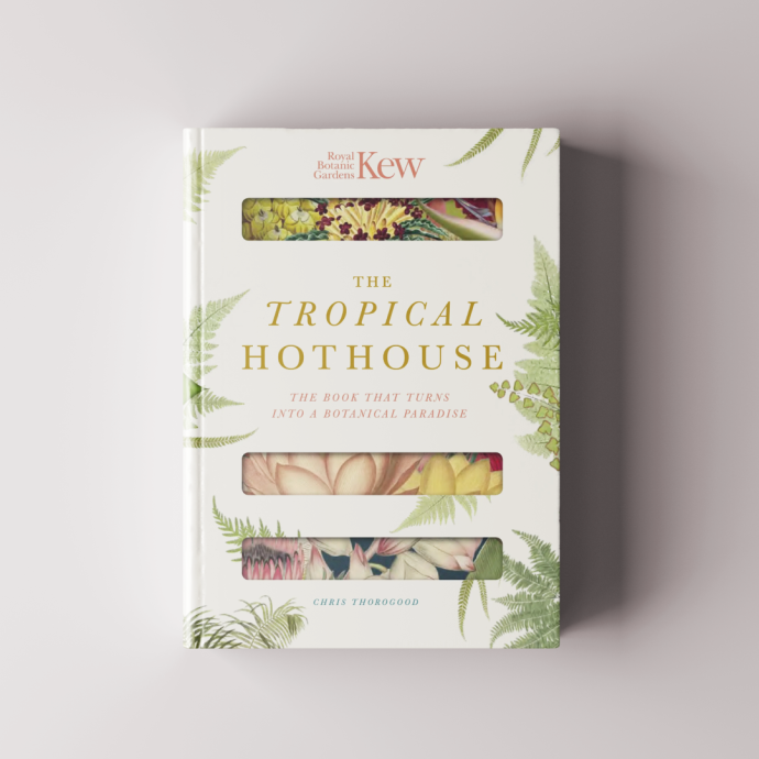 The Tropical Hothouse - cover