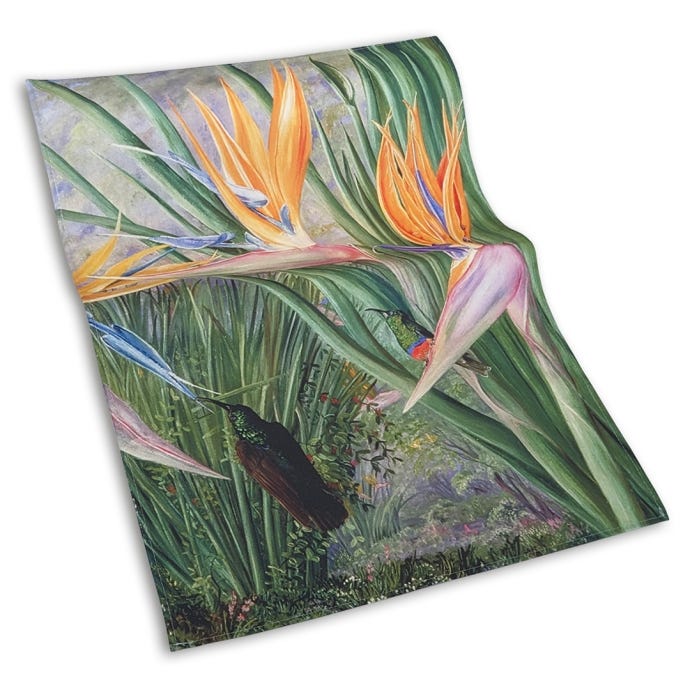 Marianne North Strelitzia Tea Towel