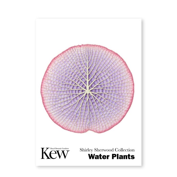 Set of 6 Concertina Water Plants Postcards