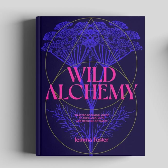 Wild Alchemy front cover