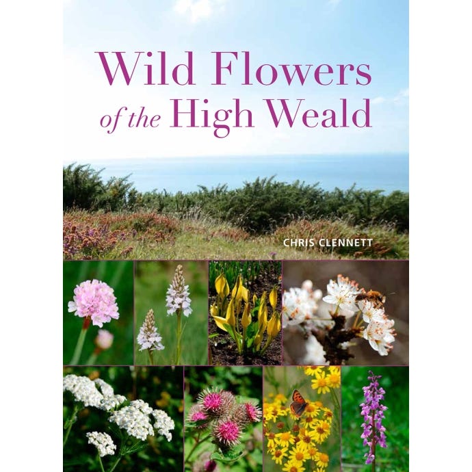 Wild Flowers of the High Weald - cover