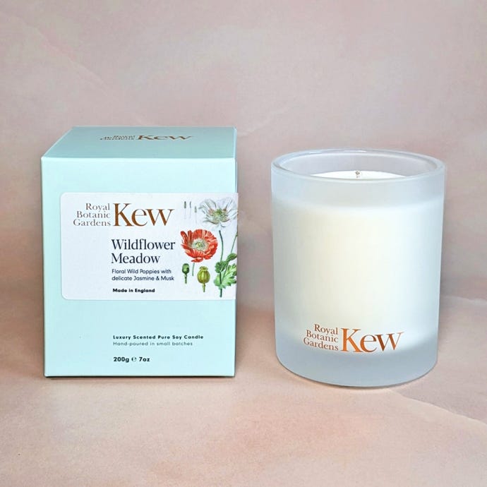 Kew x Aery Boxed Candle Wildflower Meadow