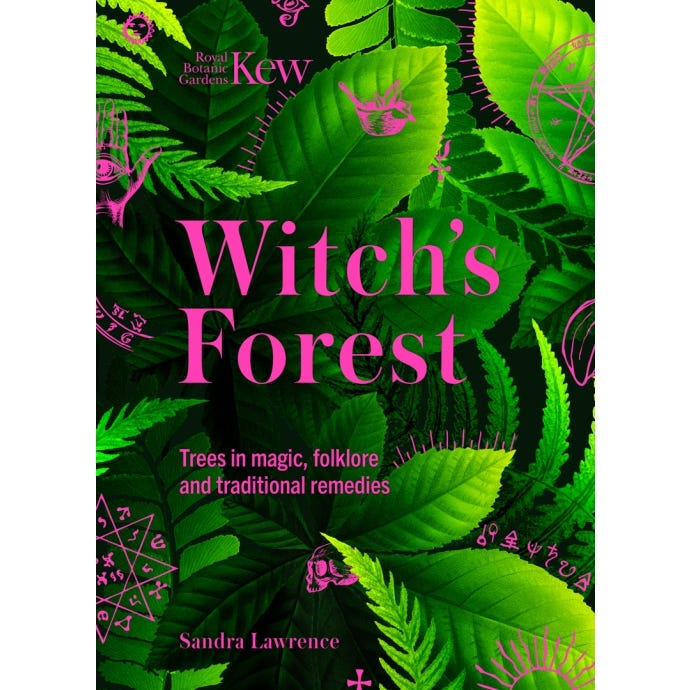 Witch's Forest - cover
