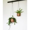 Lifestyle image of Kew Hanging Planter Matt Copper