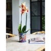 Lifestyle image of Kew Botanical Retreat Navy Planter with Saucer