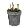 Large Kew Zinc Pot with bulbs planted in it