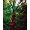 Greenhouses: Cathedrals for Plants, one page