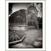 Greenhouses: Cathedrals for Plants