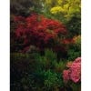 Greenhouses: Cathedrals for Plants