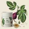 Aery Fig Leaf for mind, body and soul packaging with candle with illustration background.