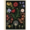 Botanicum poster