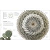 The Science Of Plants