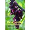 World Checklist of Dioscoreales: Yams and their Allies