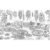 A Year in the Garden Colouring Book - inside page