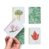Tree Families - cards