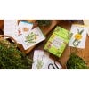 A Cabinet Full of Medicinal Plants box with selection of cards