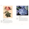 2 internal pages of the book showing an illustrated rose and a photo of an hydrangea