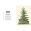 Kew Pocketbooks: Festive Flora - sample page