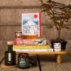 Lifestyle image of the Lucky Plant Beckoning Cat 