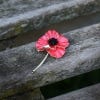 Alexander Thurlow Brooch, Red Poppy Silver