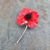 Alexander Thurlow Brooch, Red Poppy Silver