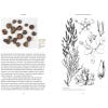 An Ancient Mesopotamian Herbal - sample pages