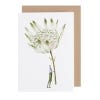 Astrantia Card