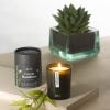 Lifestyle shot of Aery Green Bamboo tube with candle displayed and a sprig of bamboo on surface. Succulent displayed in background.