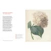 The Botanical Adventures of Joseph Banks - sample pages