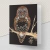 Barn Owl Greeting Card