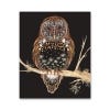 Barn Owl Greeting Card