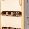 Beevive Bee Hotel Kit
