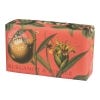 bergamot and ginger soap