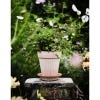 Bergs 14cm Simona Pot, Rosa Terracotta