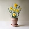 Bergs 14cm Simona Pot, Rosa Terracotta