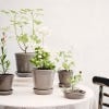 Bergs 14cm Helena Pot, Pearl Grey