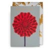 Kew Birthday Joy Dahlia Greeting Card