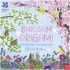 Blossom origami by Nick Robinson, front cover
