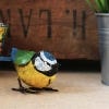 Lifestyle image of Metal Blue Tit