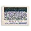 Top view of the Bluebells at Kew TFL Tea Towel