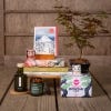 Bonsai Plants Seed Kit Lifestyle Image