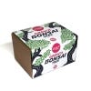 Bonsai Plants Seed Kit